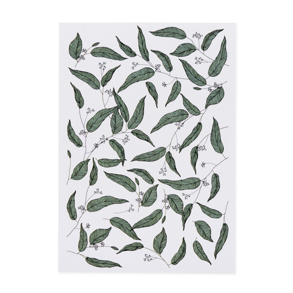 post card with drawn eucalyptus leaves green 