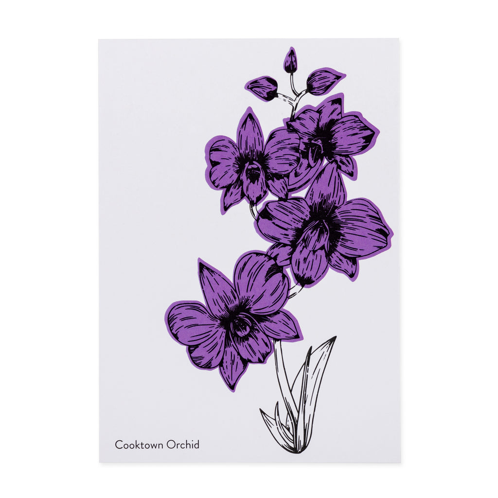 post card with purple orchid 