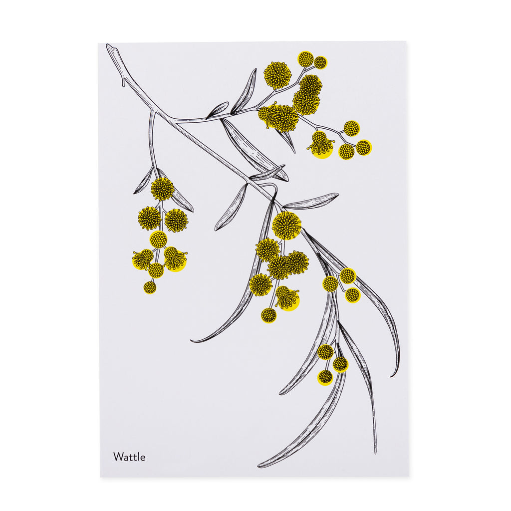 post card with yellow wattle 